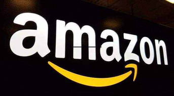 月入十萬(wàn)的亞馬遜無(wú)貨源店群不限制商品類(lèi)目上貨erp定制貼牌,模式一比一復(fù)制